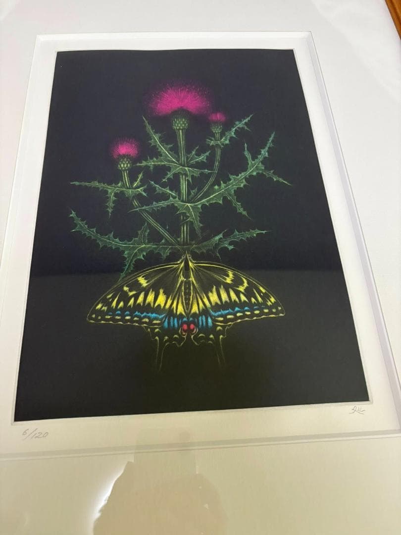 加山又造　薊　銅版画　限定120枚のうちの6番 加山又造薊銅版画限定120枚のうちの6番