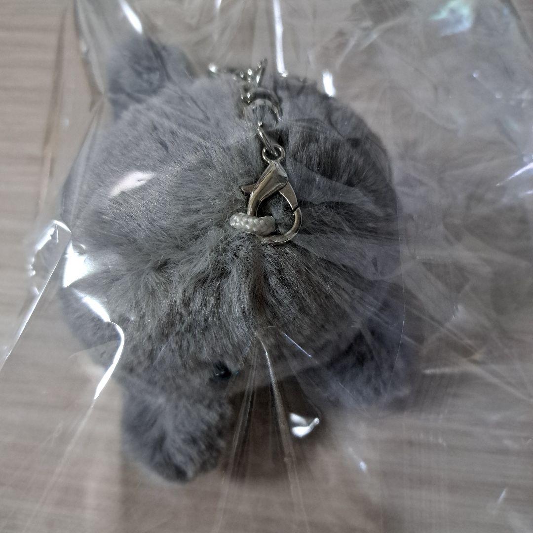 YUMEKUMO/BAKECHAN (グレー) BE:FIRST JUNON着用