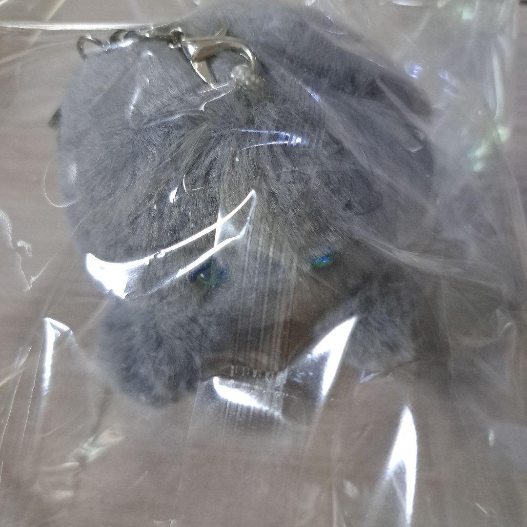 YUMEKUMO/BAKECHAN (グレー) BE:FIRST JUNON着用