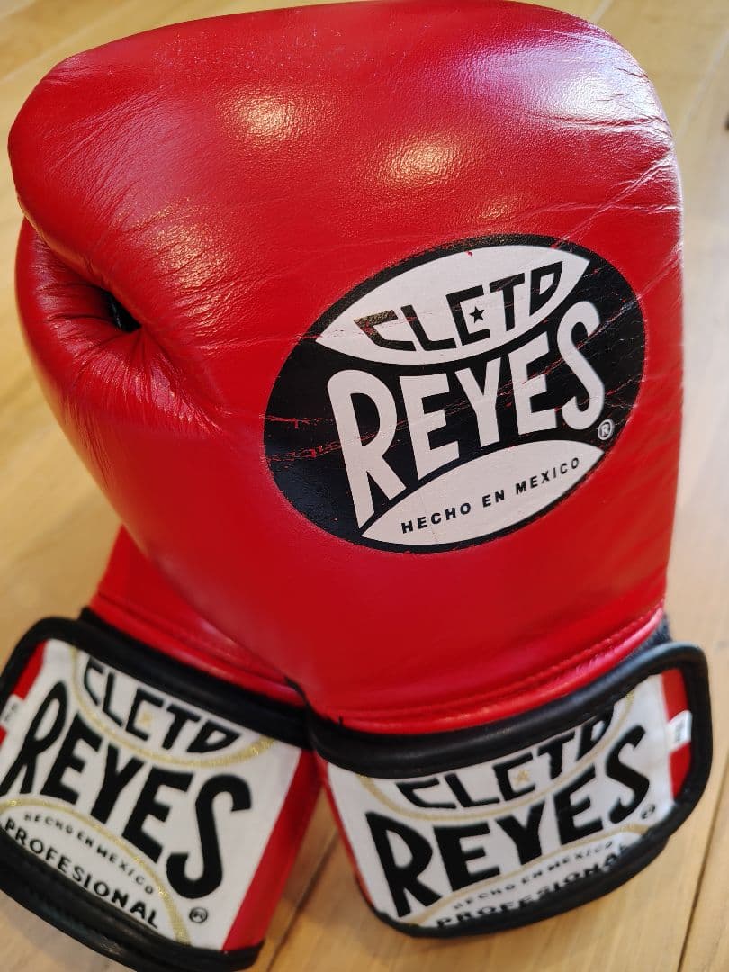 美品！レイジェス　グローブ　10オンス　レッド　赤　新品イサミ　ハーネス付き レイジェスオンラインショップ 美品！レイジェス グローブ 10オンス