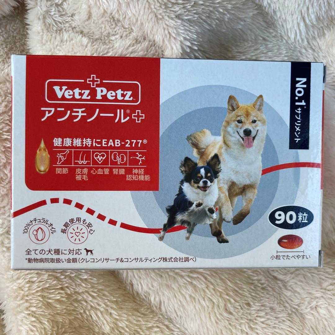 アンチノール 90粒