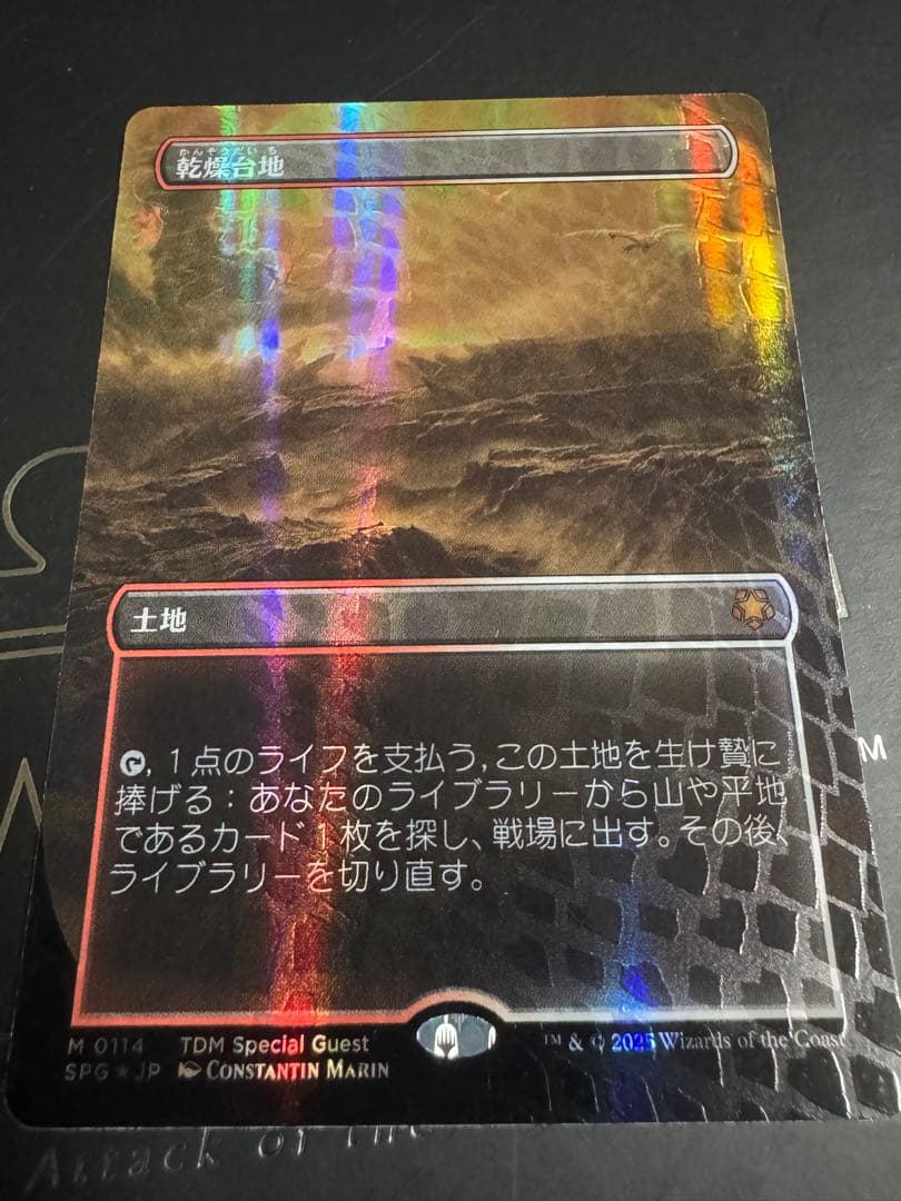 MTG 乾燥台地ドラゴンスケイルfoil 日本語