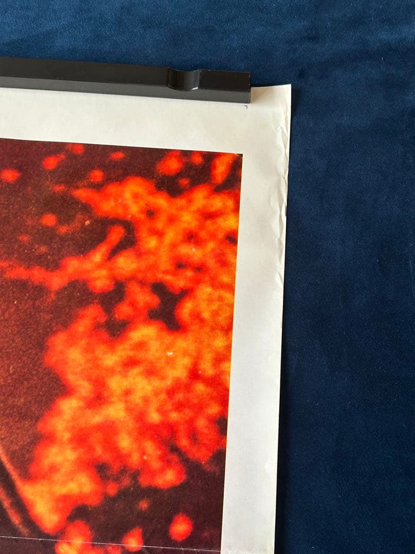 悪魔の棲む家　USオリジナル映画ポスター