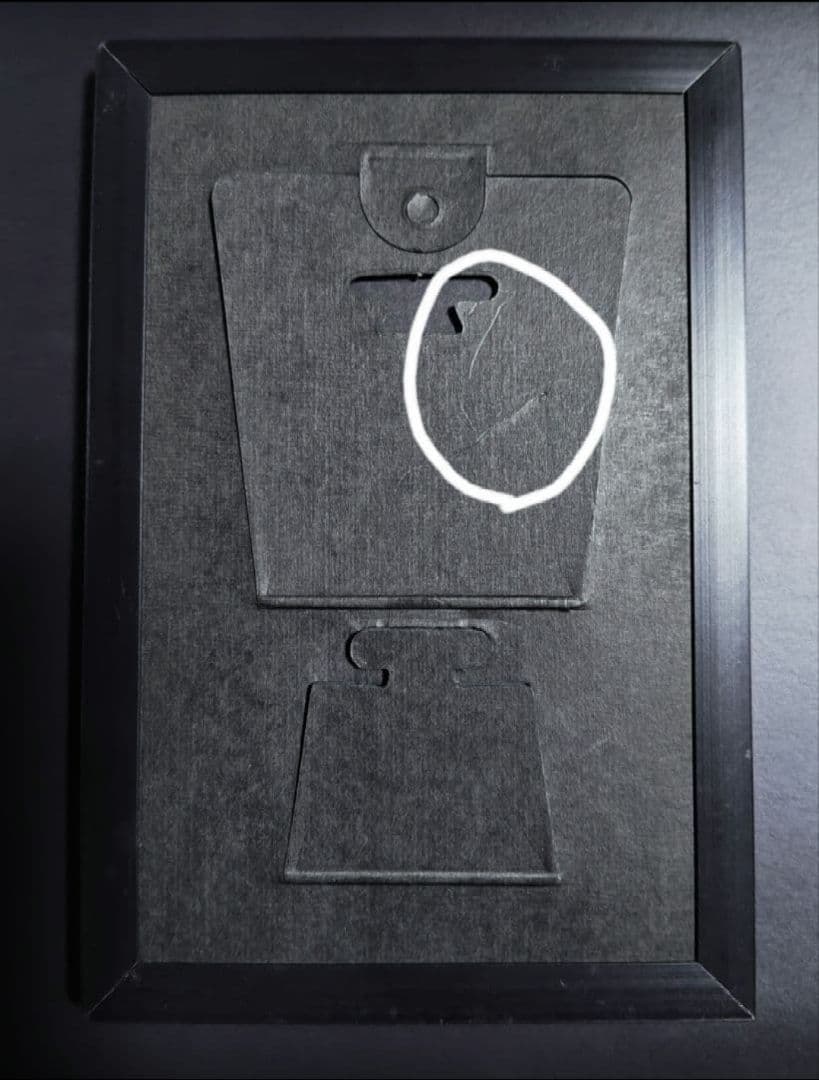 【全種・ケースなし】ベルサイユのばら パブミラー