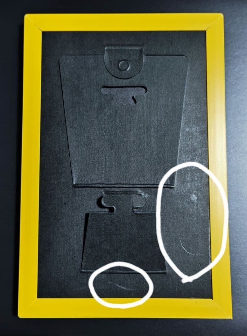 【全種・ケースなし】ベルサイユのばら パブミラー