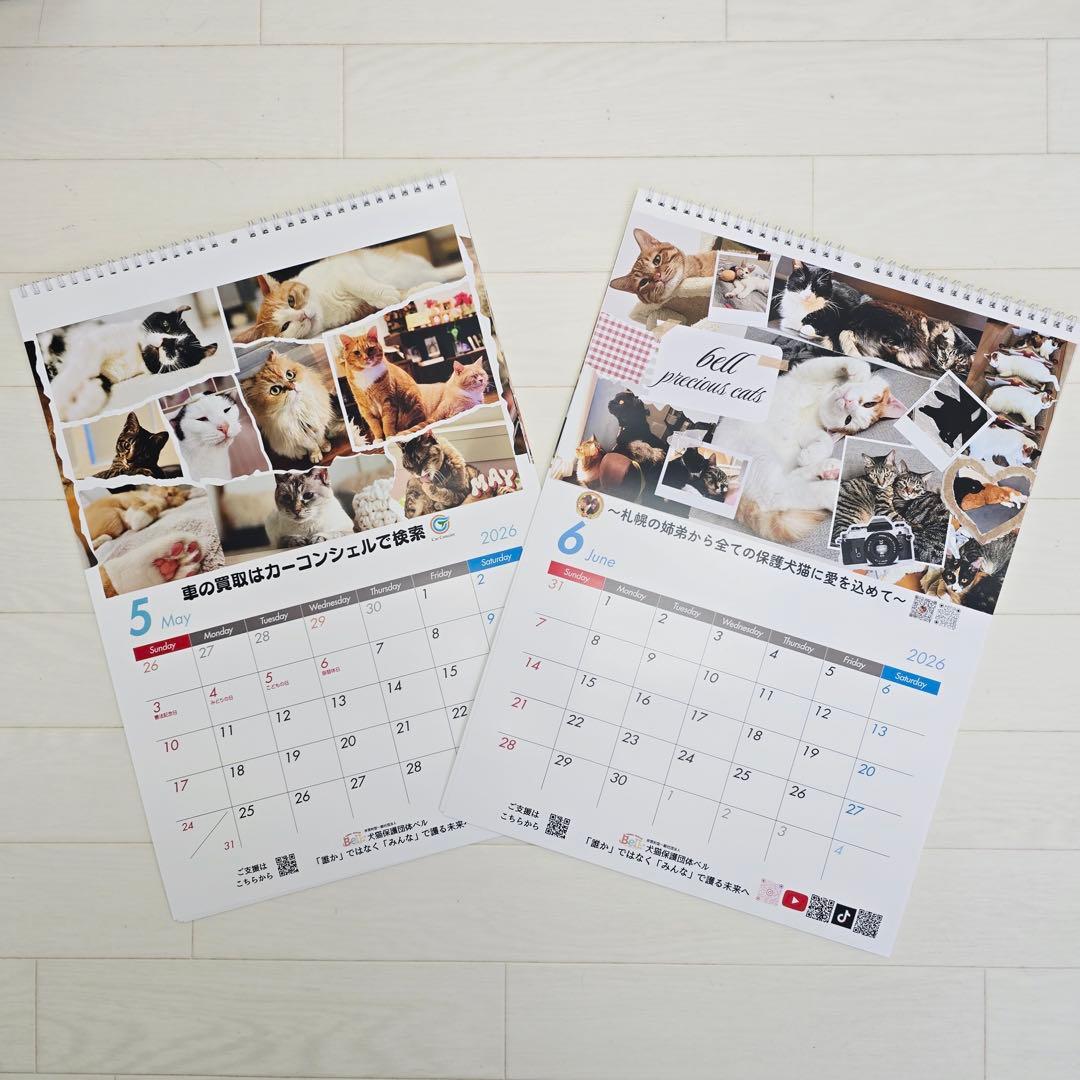 ②《猫》壁掛けチャリティーカレンダー10枚セット