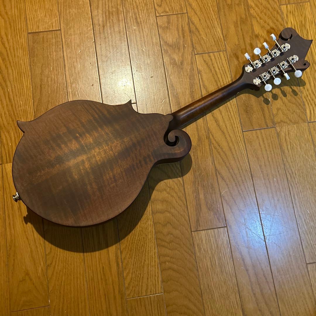 フラットマンドリン　イーストマン　md-315 /CLA ピックアップ付き