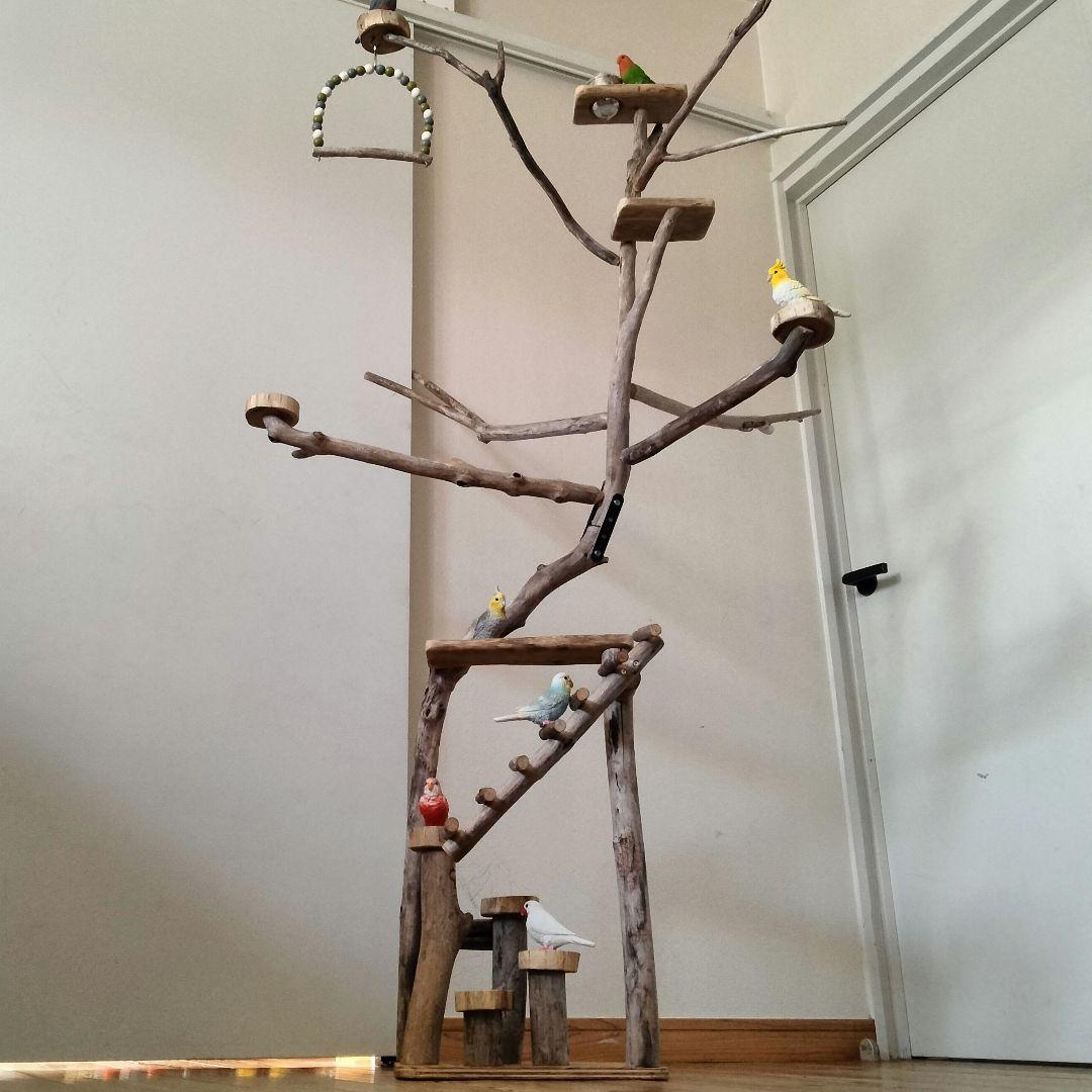 鳥インコ止まり木バードアスレチックバードジム大サイズ Amazon
