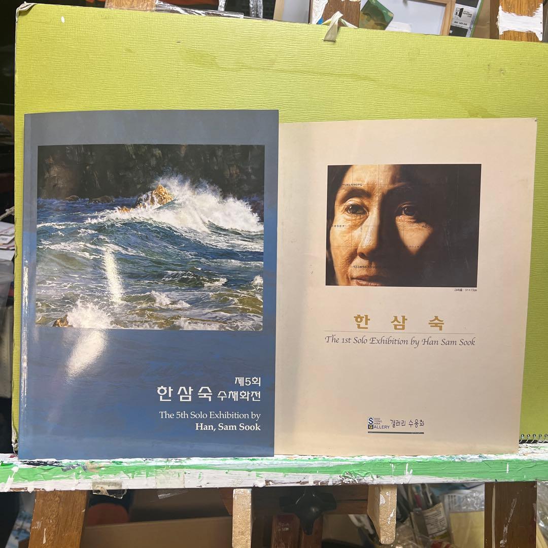 Hａn S am Ｓook 韓国女流作家、真作。 波うねる東海岸。