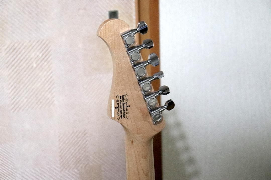 ギター Bacchus T-MASTER ASH BLK/OIL