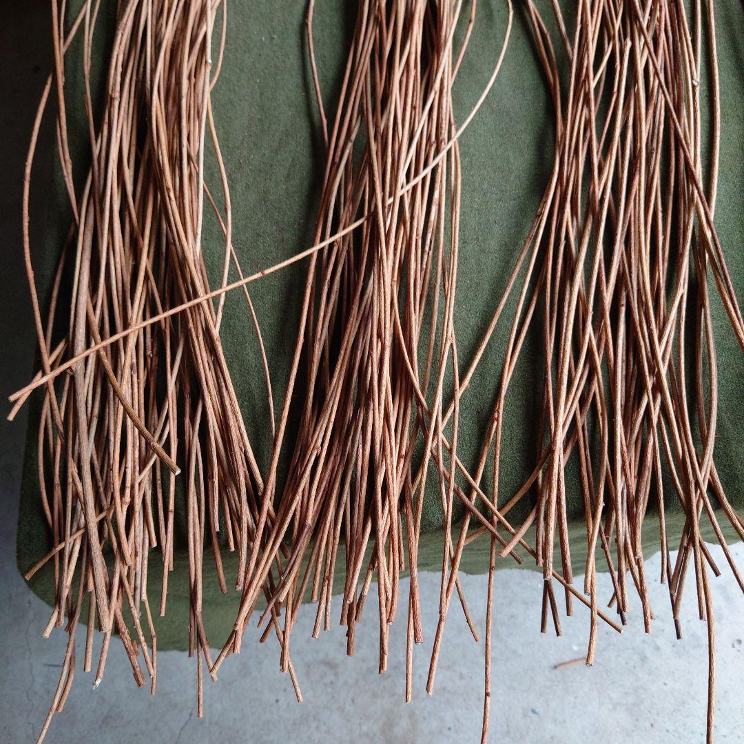 アケビの蔓(根蔓ランナー)