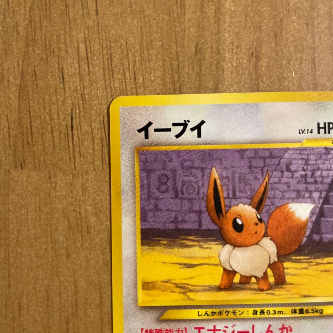 イーブイ HP50 & エンテイ HP80 セット