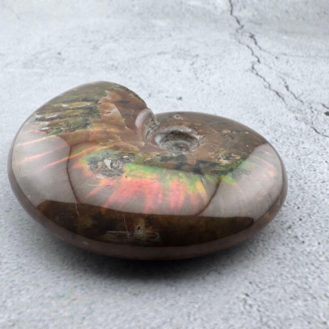 G-79天然アンモナイト原石 游色多色アンモナイト化石 天然石