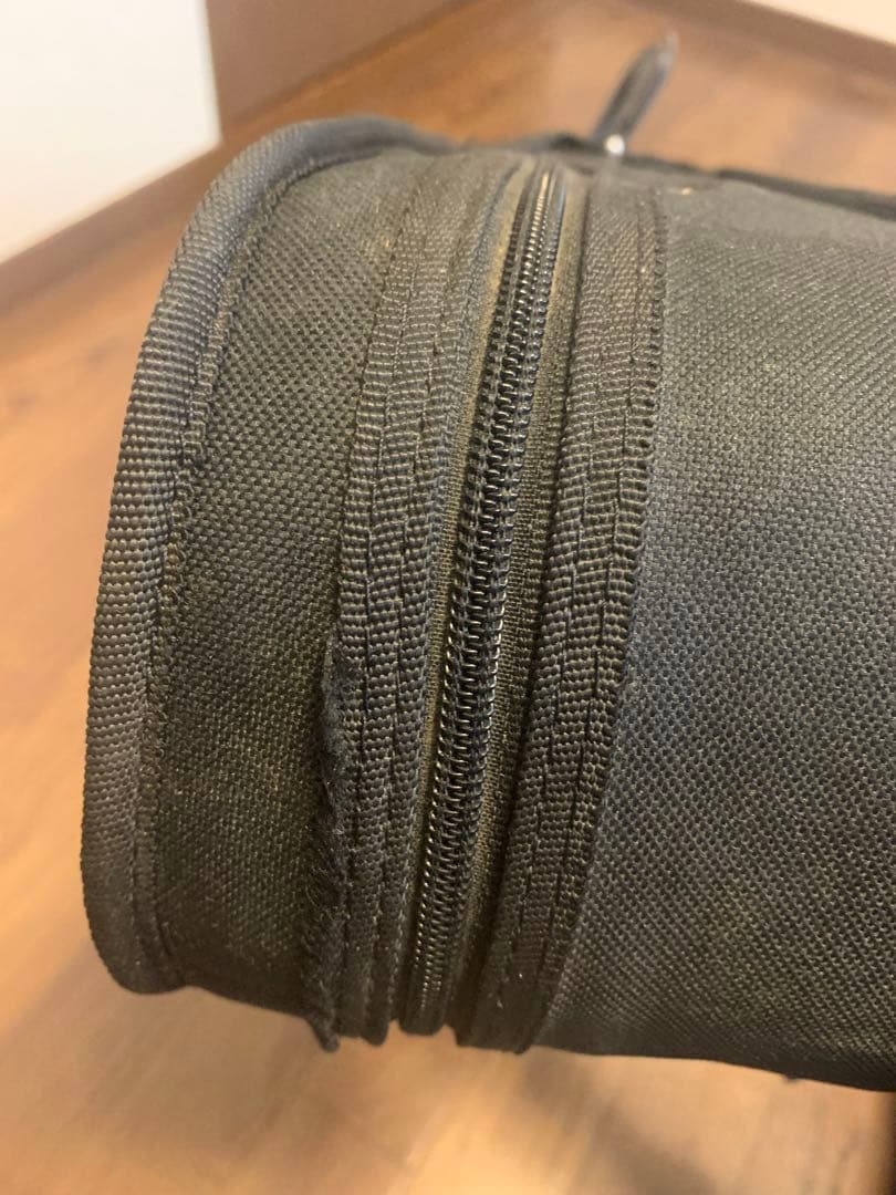 カルロジョルダーノ EV-202(C) エレクトリックバイオリン