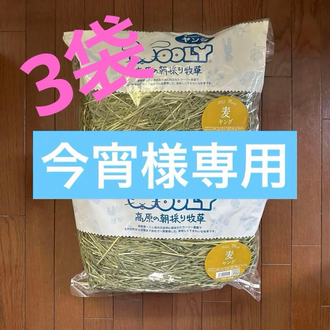 WOOLY 高原の朝採り牧草 麦 ヤング 2022 未開封2袋セット 2025高原の朝