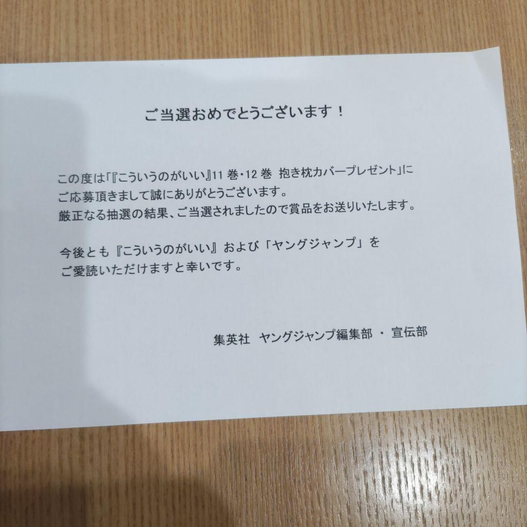 「こういうのがいい」今下伊好　抱き枕カバー