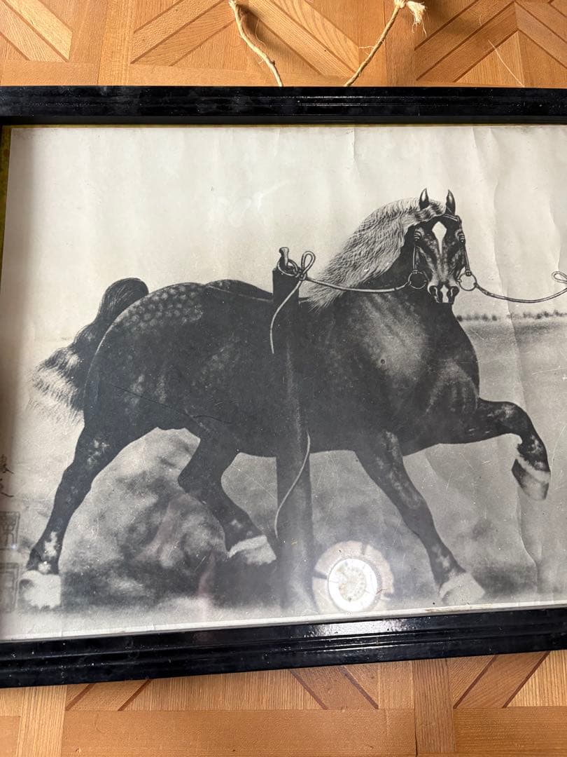 馬の絵