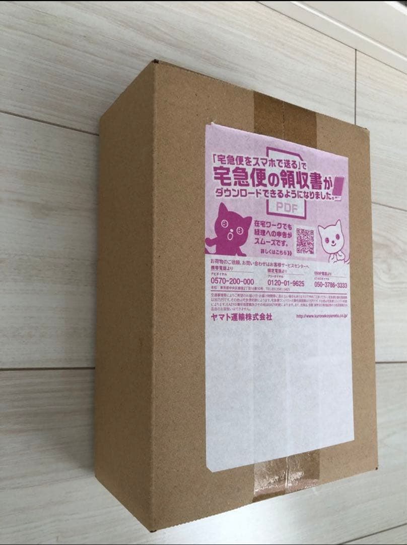 ポケモンワールドチャンピオンシップ2023 ピカチュウデッキ　横浜記念デッキ