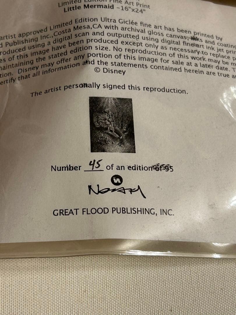 ディズニー リトルマーメイド ジグレー 45/95 海中 版画