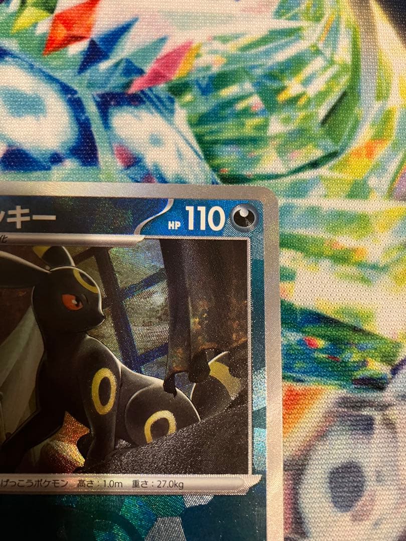 ブラッキー　マスターボールミラー　テラスタルフェスex