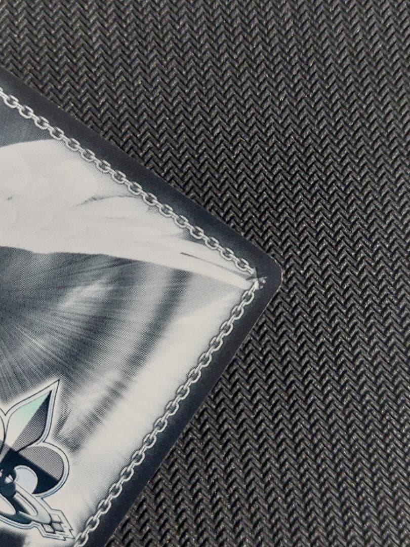 SP “バニーガール”ゆんゆん サイン 虹 新裁断 再販 ヴァイス このすば