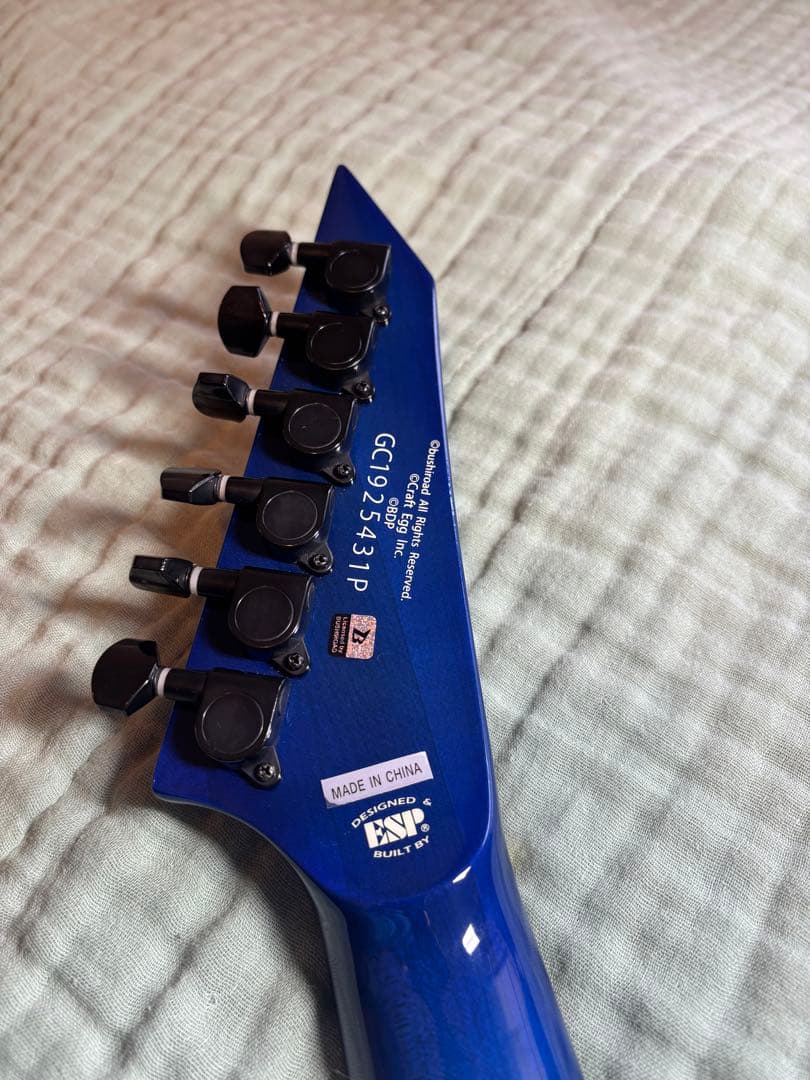 ESP BanG Dream! M-Ⅱ SAYO 氷川紗夜　バンドリ