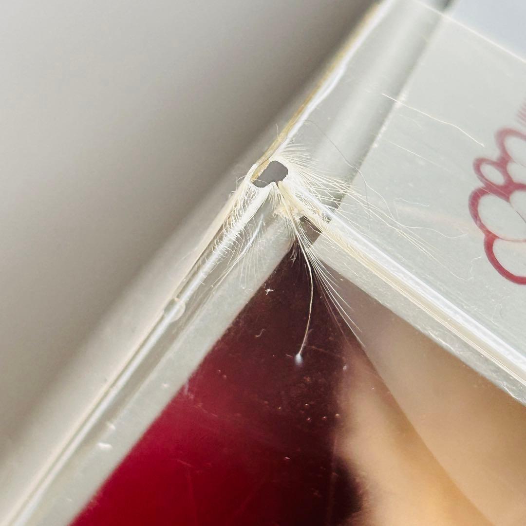 ★月末セール★4000体限定　シュタイフ ジャッキー 1953年 テディベア