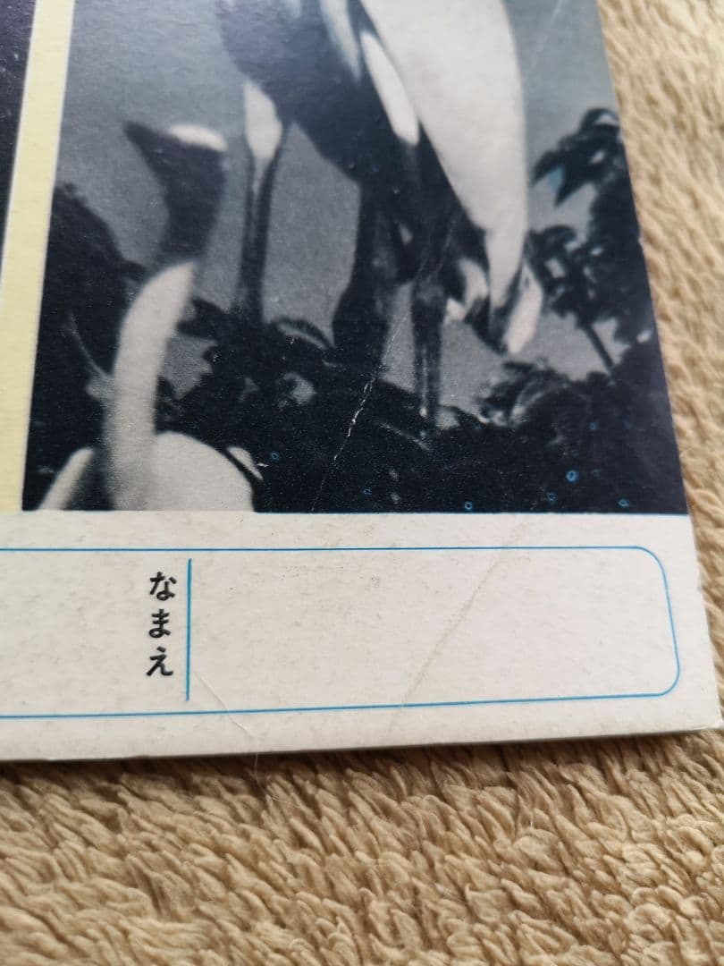 昭和レトロ　絵本　1966　キンダーブック　まとめ売り　1～12月号12冊セット