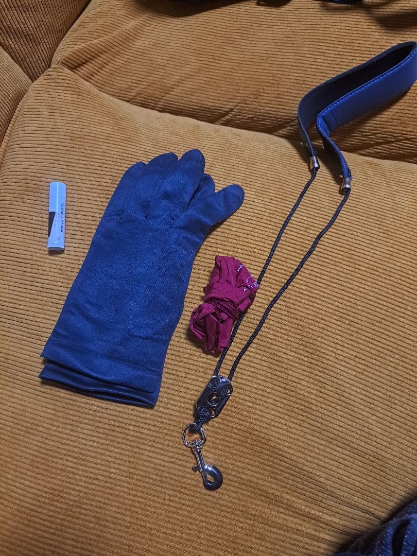 Play Techソプラノサックス