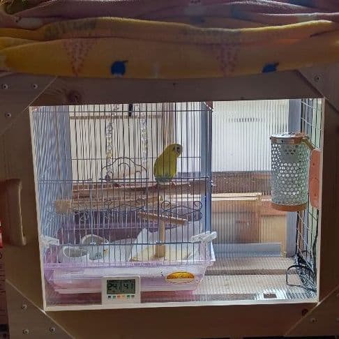 保温箱 アクリル ポリカ セキセイインコ 小鳥 インコ 文鳥 オカメインコ