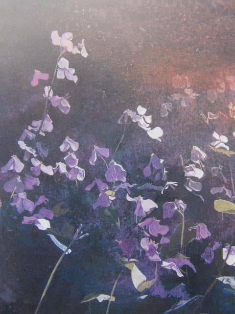 波多野杜邦、【春想】、希少な額装用画集より、新品額装付