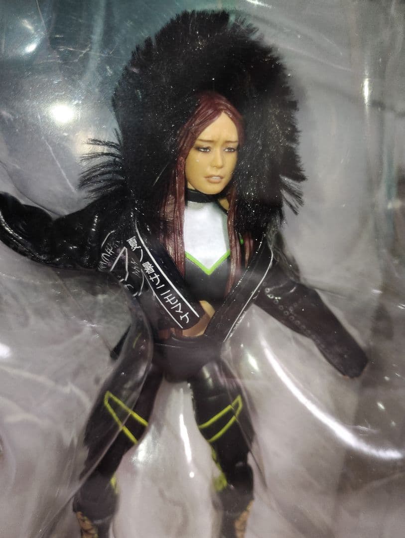 マテル社版　WWEプロレスフィギュア　イヨスカイ　 初期　紫雷イオSHIRAI