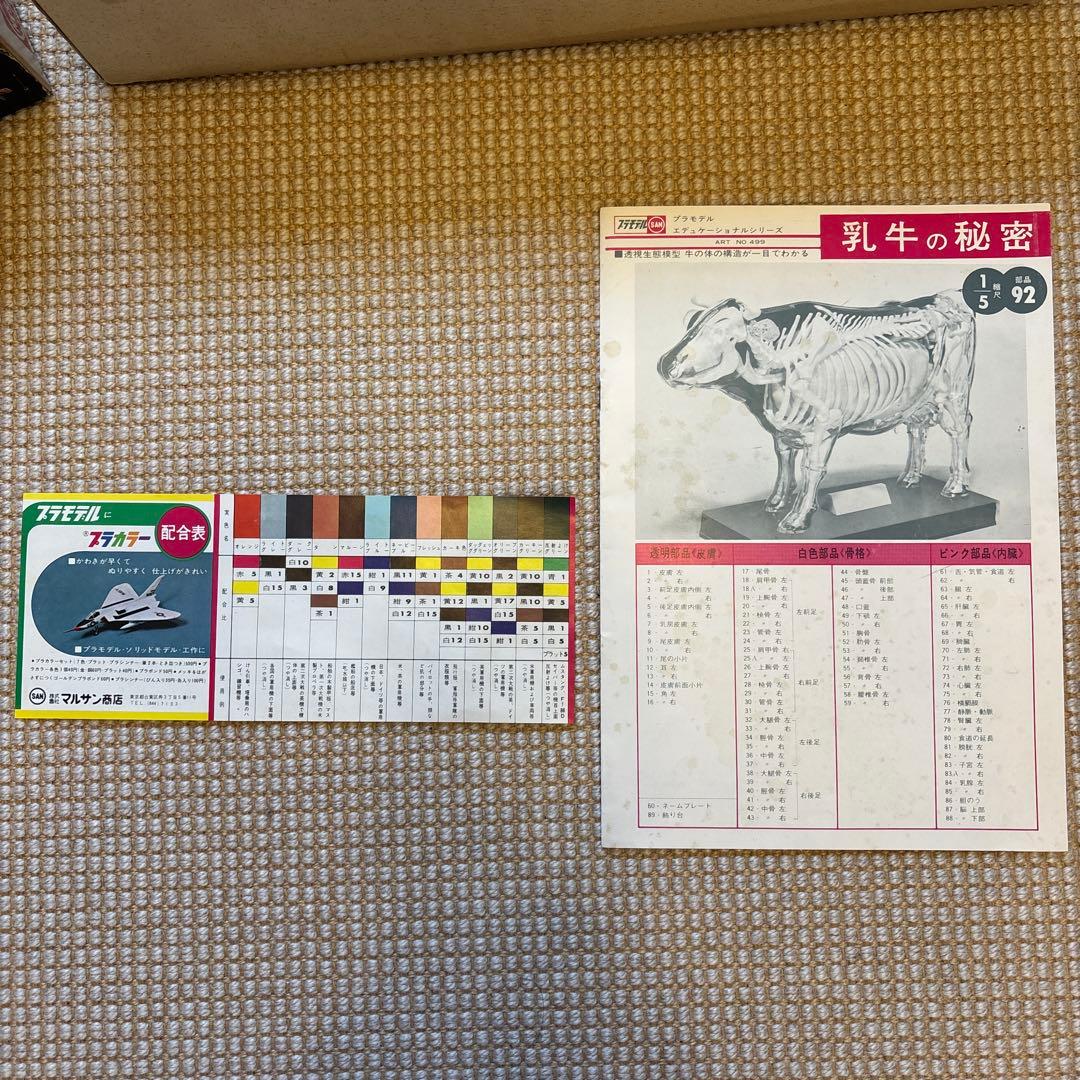 【マルサン】プラモデル　乳牛の秘密（欠けてる部分あり）