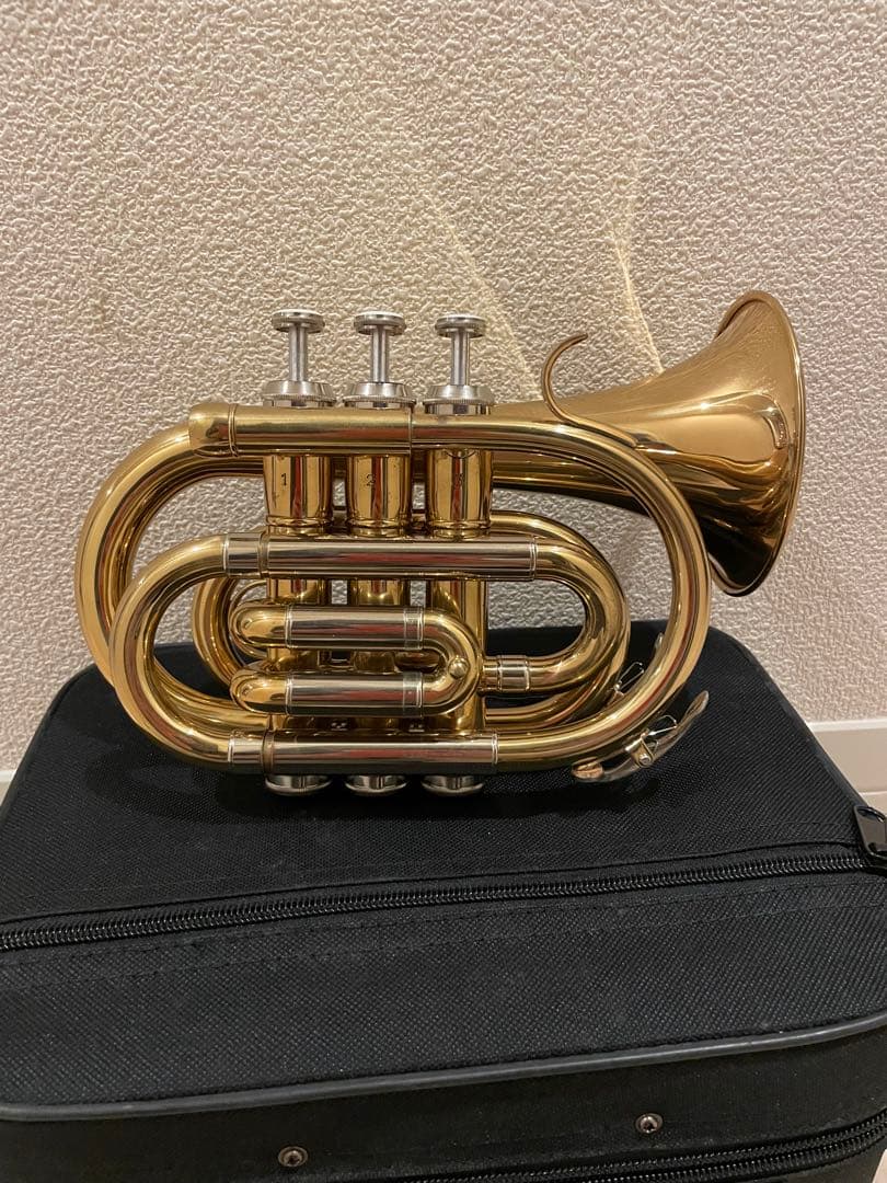 ❗️タイムSALE❗️ポケットトランペット マウスピース付き