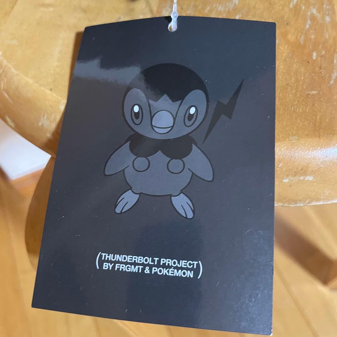 ポッチャマ　フラグメント × ポケモン サンダーボルトプロジェクト　ぬいぐるみ