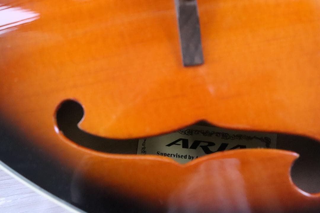 ■アリア マンドリン MANDOLIN ARIA AM-20 弦楽器
