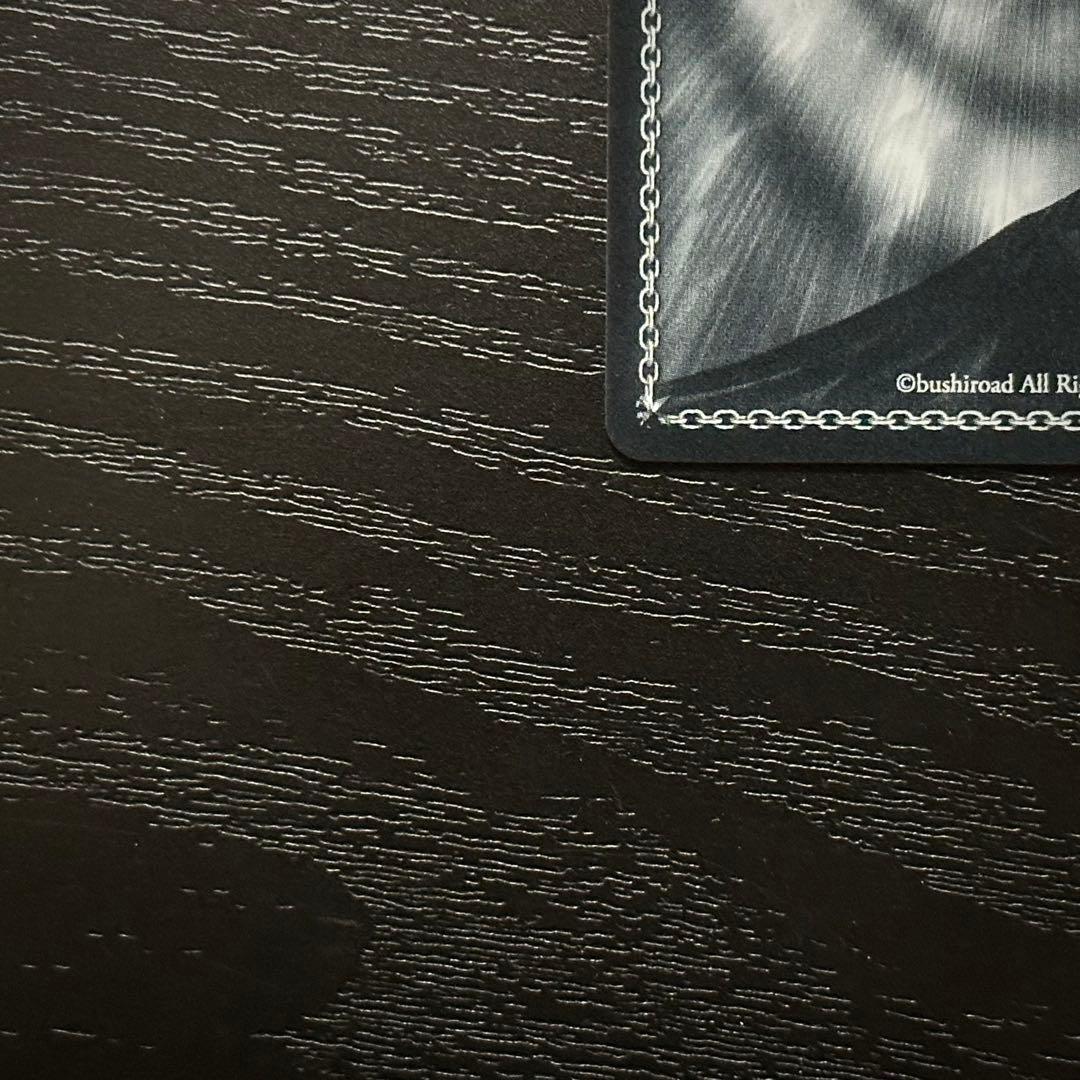 WS レーゲンスブルク SP サイン