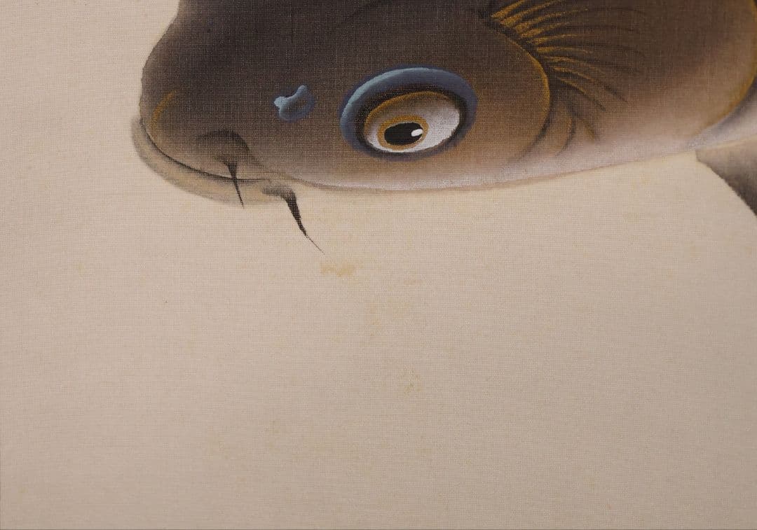 【真作】日本画 大谷園泉 鯉図 絹本 掛軸 双鯉 MB119