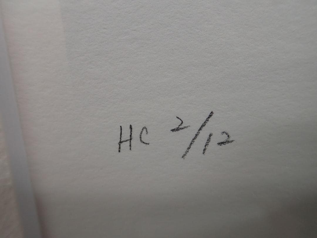 ㊴新品・保証書付 鈴平ひろ　AWAKING　ミクスドメディア アールビバン HC