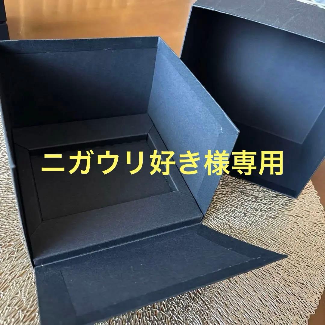 ニガウリ好きです。 セイコー　ブライツフェニックスSAGH007