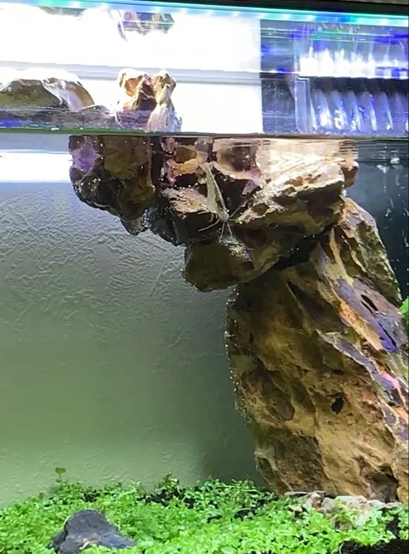 お値下げ☆ 水槽用自然石（気孔石）セット 11個 岩組みレイアウトに