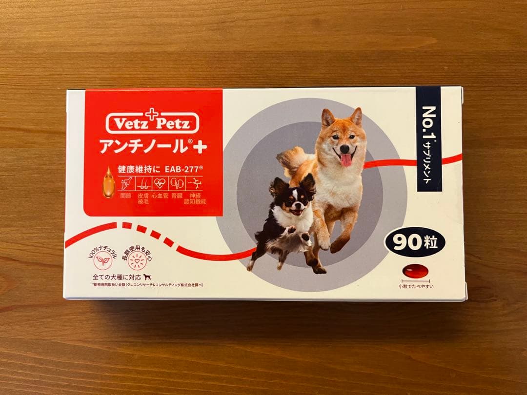 アンチノールプラス 90粒