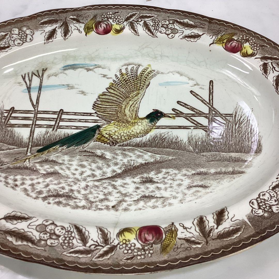 大皿 鳥絵皿 楕円皿 飾り皿 昭和レトロ 孔雀 パーティ V79 - メルカリ