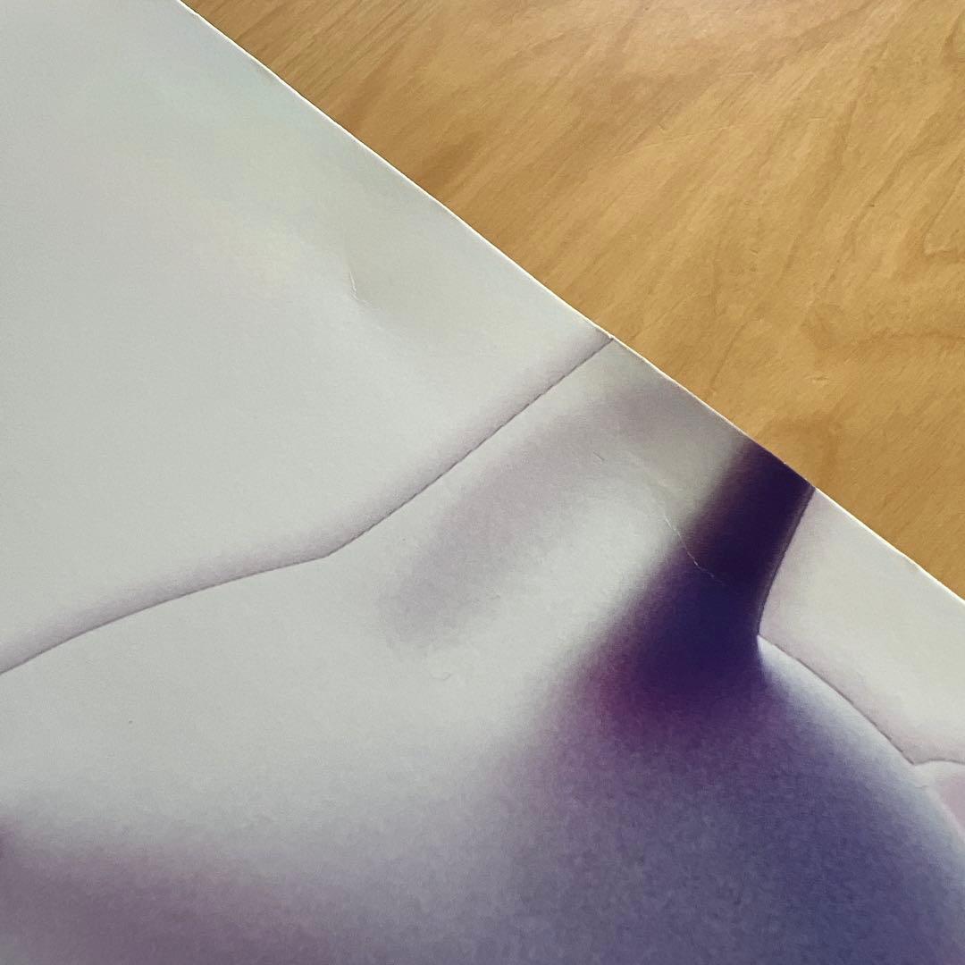 未開封！　ミュウツーの逆襲EVOLUTION パンフレット