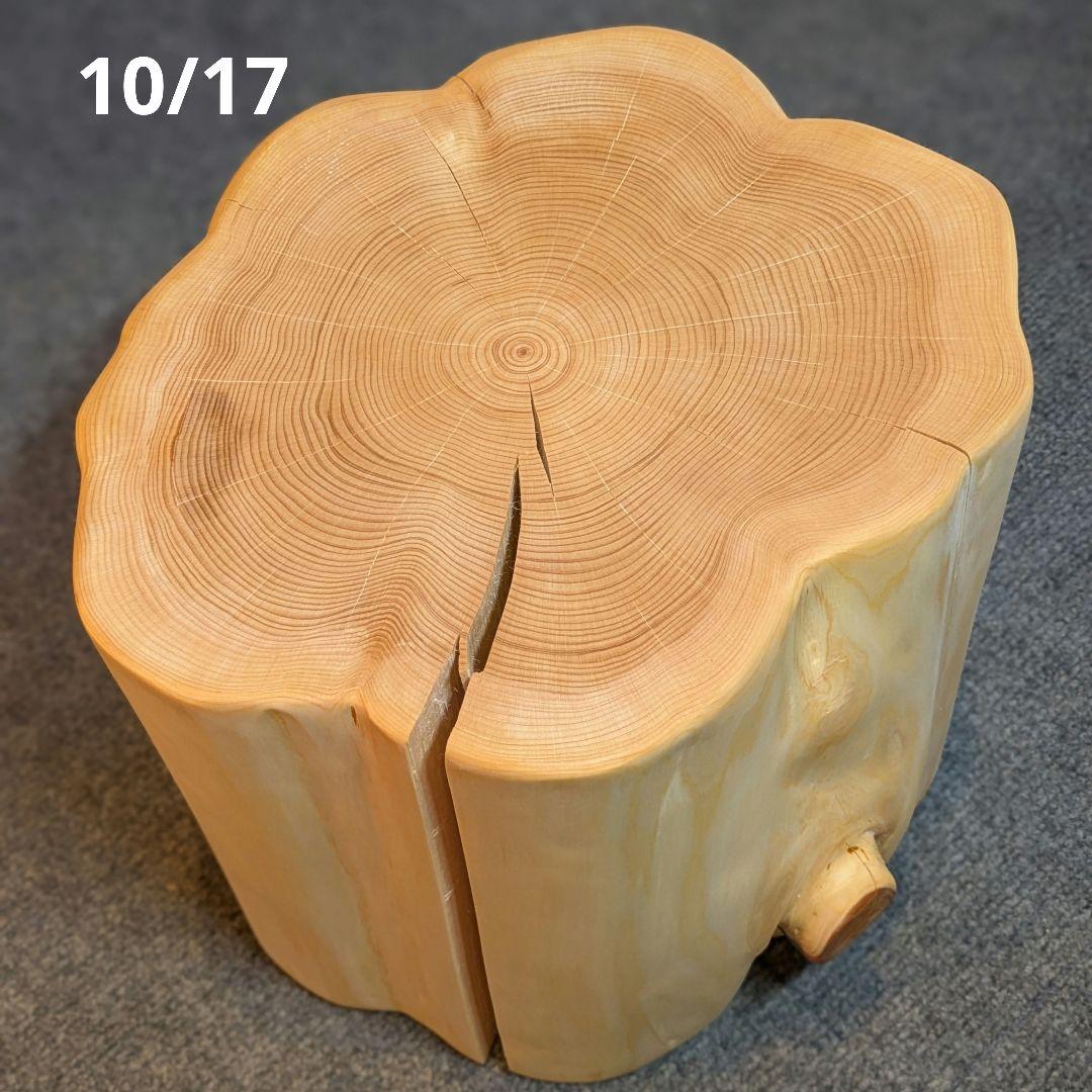天然ヒバ　切り株　丸太　椅子　スツール　テーブル　高さ約28㎝