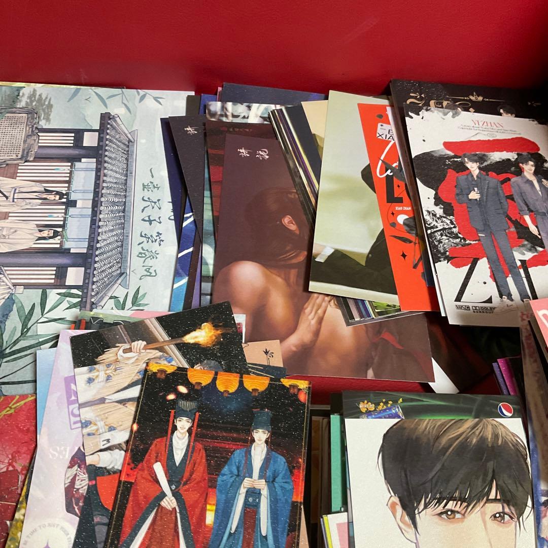 博君一肖 王一博肖戰 肖战 550枚カード 陈情令忘