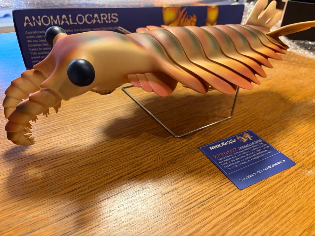 アノマロカリス　「NHK 生命 40億年はるかな旅」復元モデル