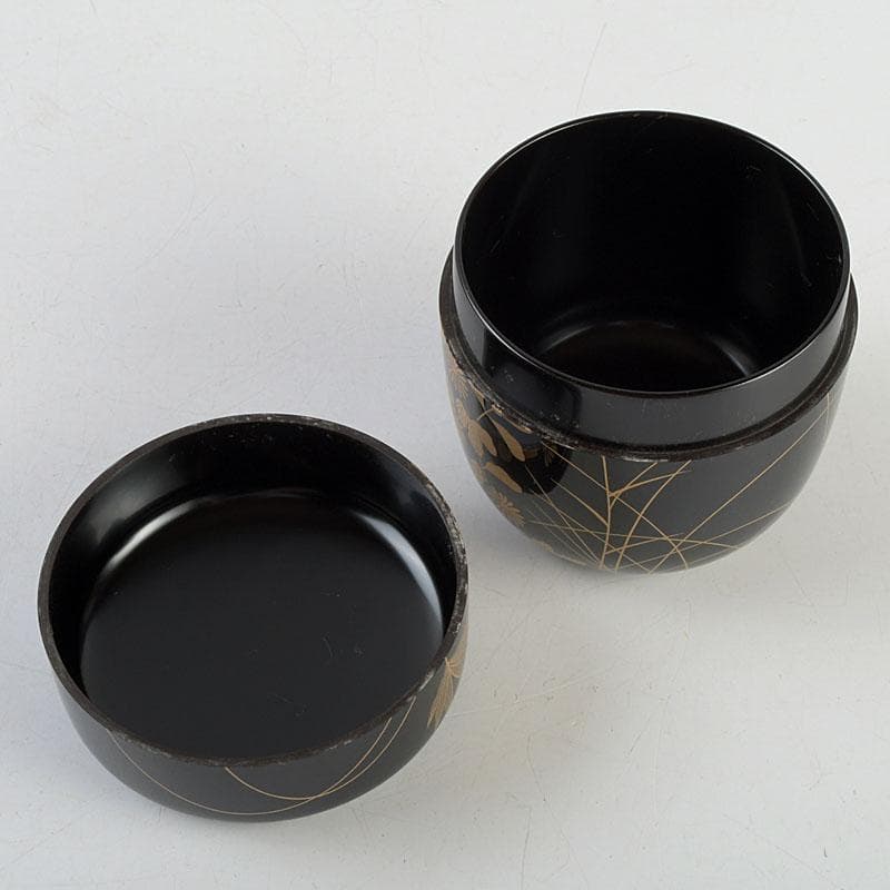 茶道具 長谷川恵史作 螺鈿装飾 鈴虫蒔絵 棗 共箱 V 9349