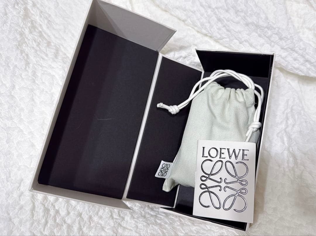 ロエベLOEWE パイソン エレファント レア ケース ぞうブラウン 小物