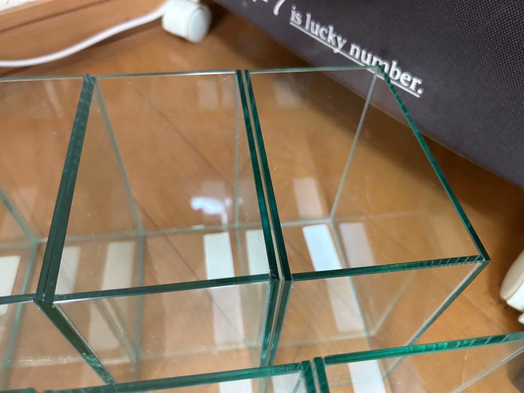 ベタ コレクションケースM 12個